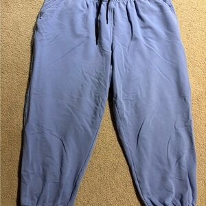 Torrid Active Fleece Jogger Purple Size 2